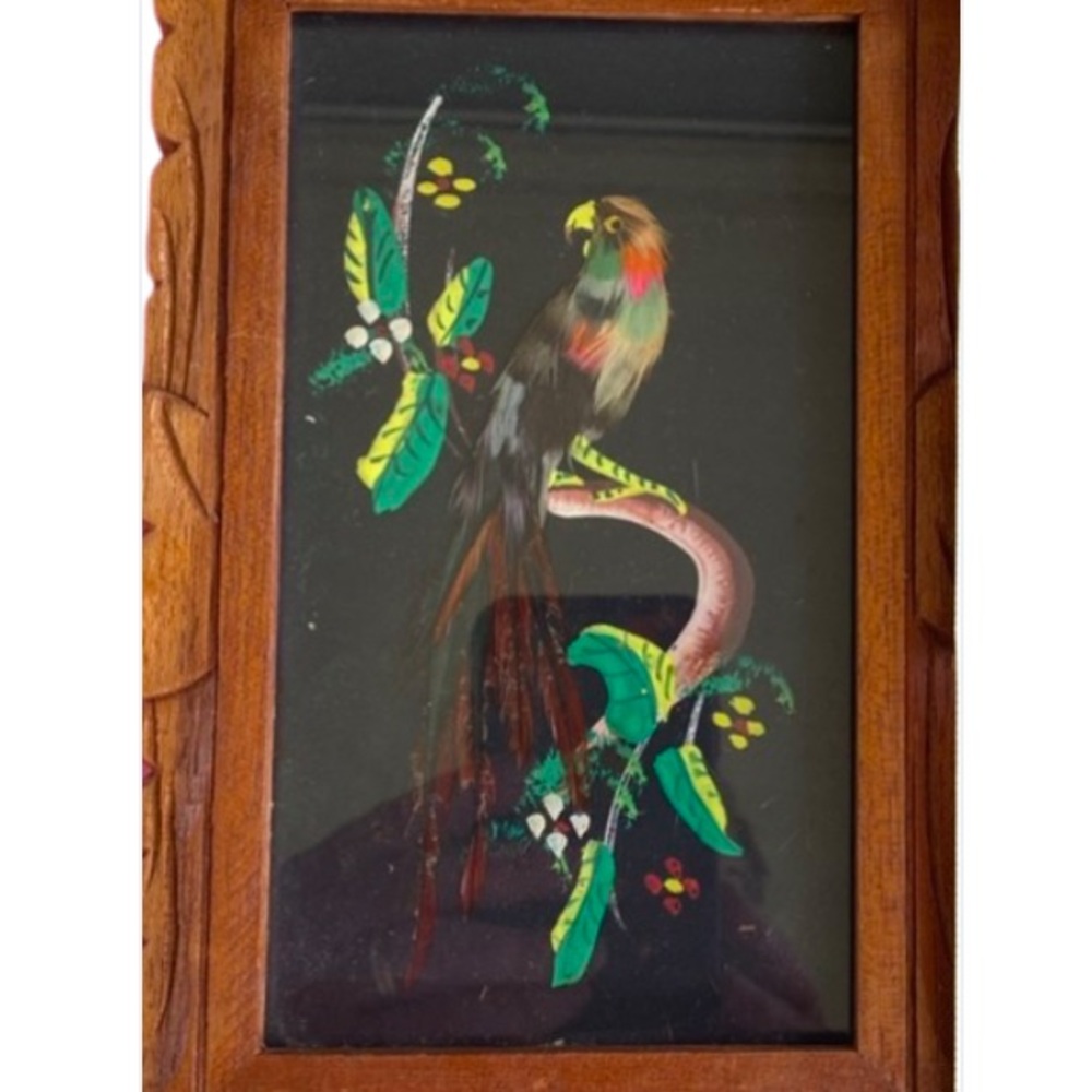 Vintage Mexico Hand Painted Exotic Birds with Real Feathers Wooden Frame…